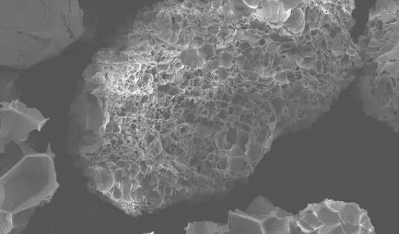 Expanded perlite is ideal for seed pelleting