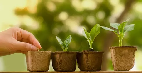 Terramol is a lightweight, organic-compatible soil improver that boosts water retention, aeration, and root development for healthier plant growth.
