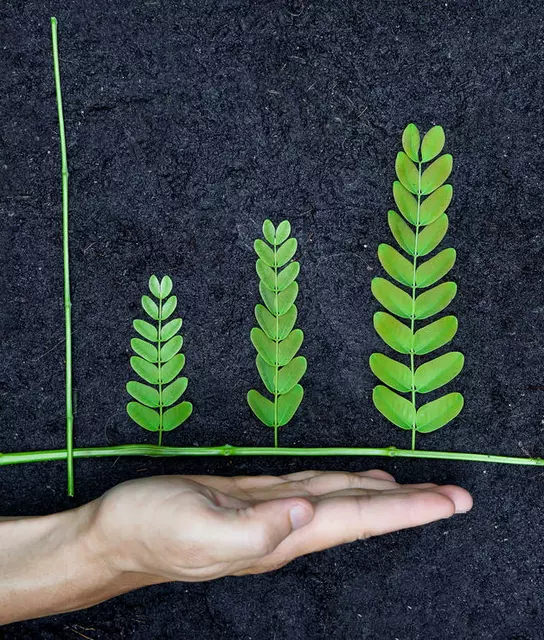 Sustainability-Linked Bond