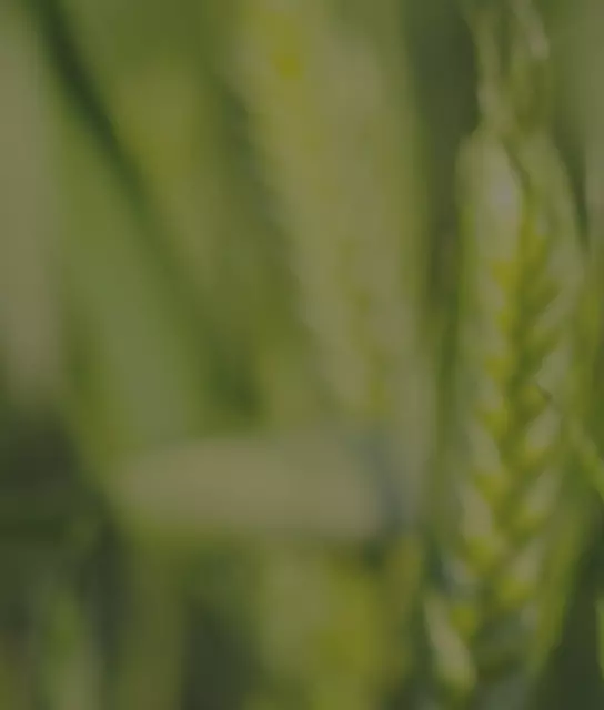 Crop Production - contact 