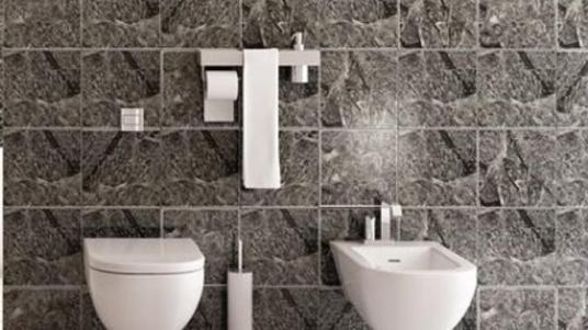 Toilettes et bidet fabriqués à partir de ball clay.