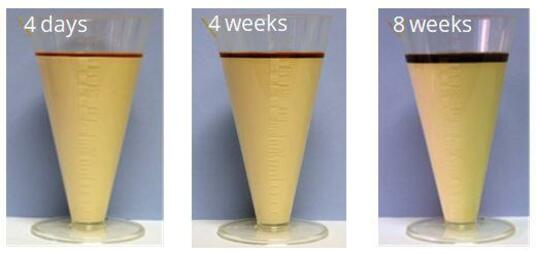 Syneresis with a competitor grade after 8 weeks