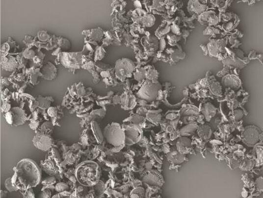 Diatomaceous earth provides outstanding antiblock performance, good clarity and low haze