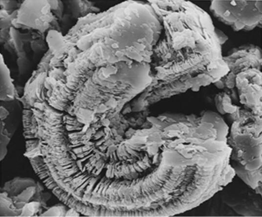 An image of kaolin