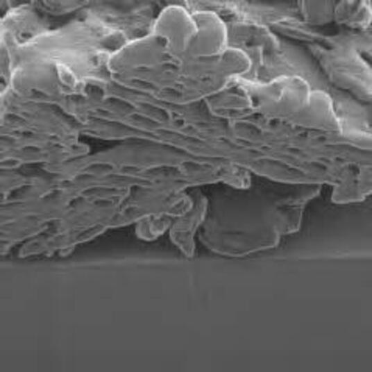 An image of Opacilite™
