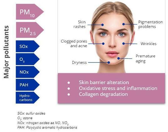 Air pollution – a major health issue and bad news for skin