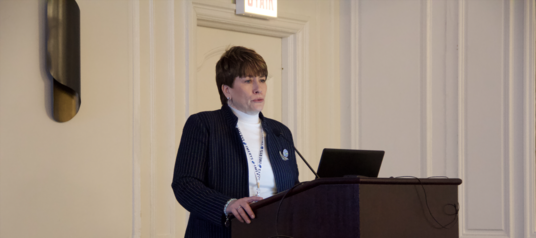 Nancy Bunt presenting at the UNITECR