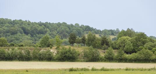Zone réhabilitée de la carrière de Foufouilloux près de Murat (Cantal) 