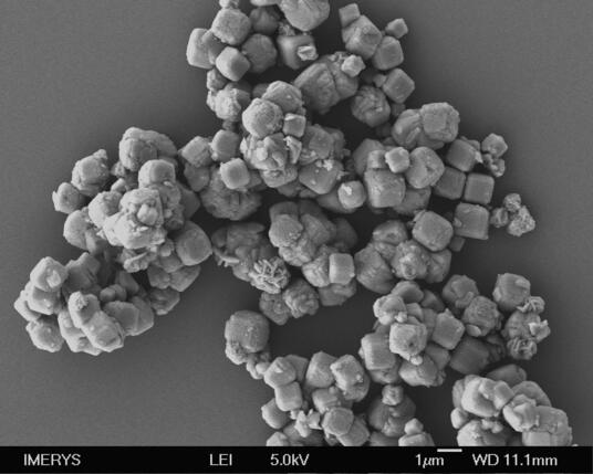 Zeolite SEM