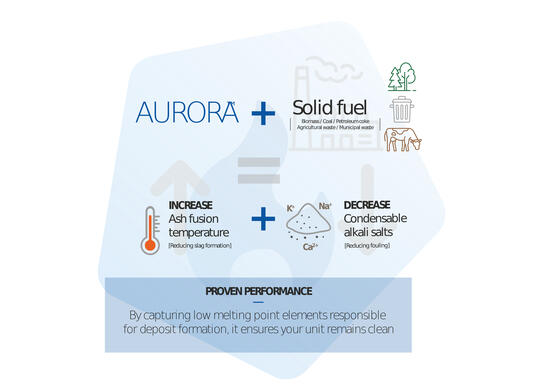 aurora inforgraphic