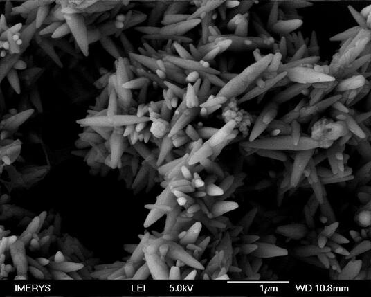 ImerCare 2C SEM image