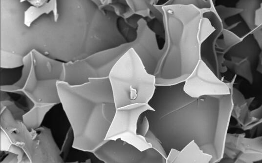 Harborlite SEM image