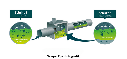 SewperCoat Infografik