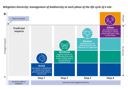 Mitigation hierarchy: management of biodiversity at each phase of the life cycle of a site