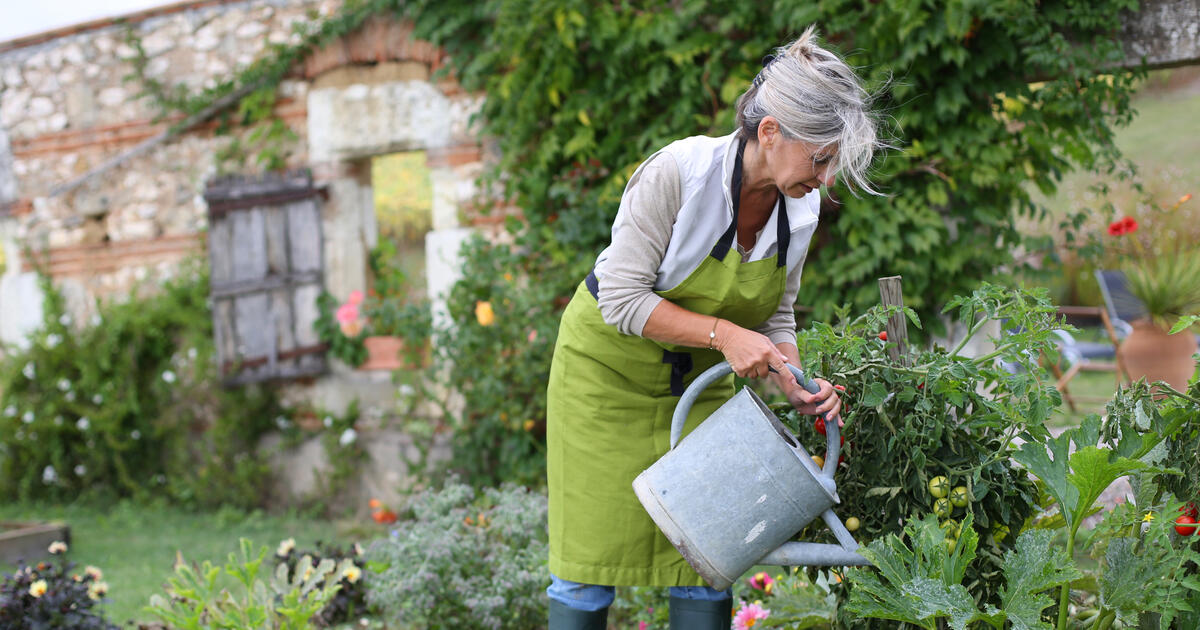 How to use diatomaceous earth: 3 little-known applications - Imerys