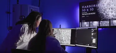 High resolution SEM of mineral sample