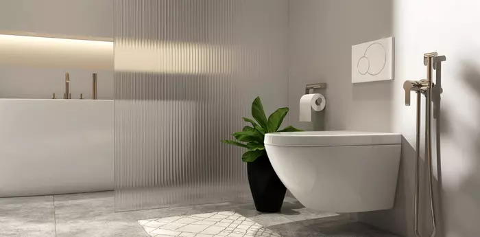 Sanitaryware-ceramics