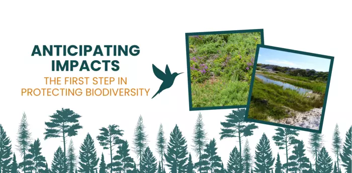 Biodiversity banner anticipating impacts - Imerys