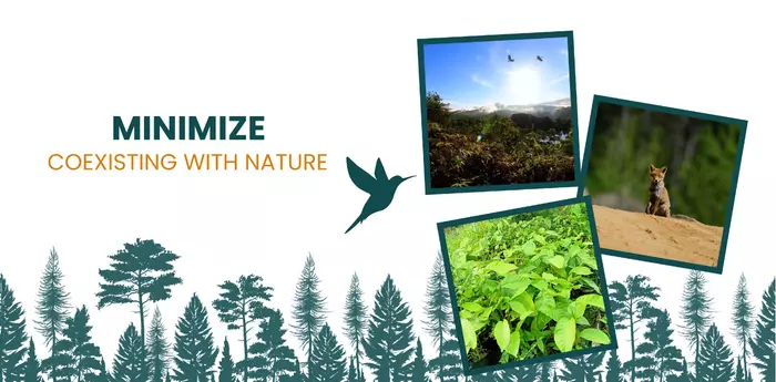 Minimize: Coexisting with nature by reducing our impact on biodiversity