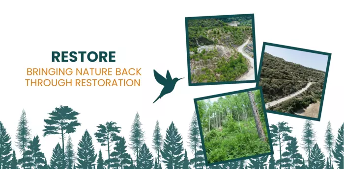 Restore: bringing nature back through land rehabilitation | Imerys