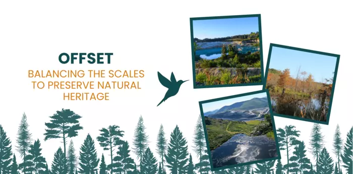 Offset: balancing the scales to preserve natural heritage | Imerys