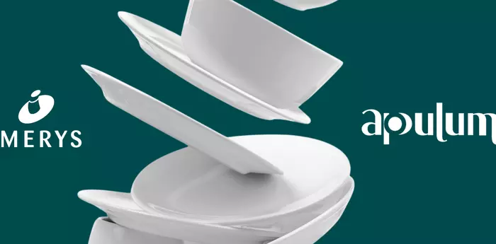 Porcelain tableware - Apulum X Imerys
