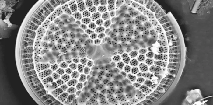 separation of solids from liquids (or gases) by passing the mixture through a porous material