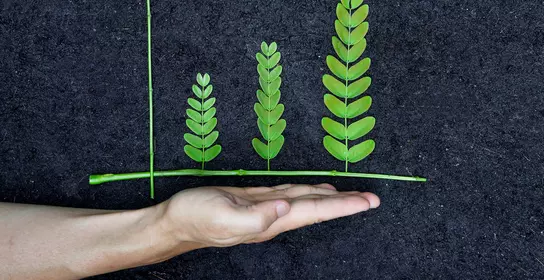 Sustainability-linked bond