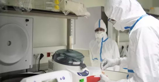 Institut Pasteur researcher