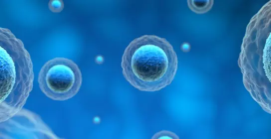 Health pharma & biotechnology