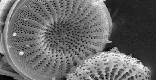A banner image for the Sorbents & chromatography media application