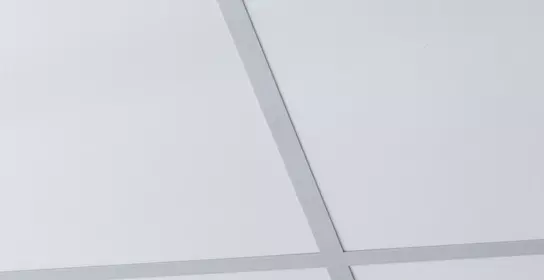 Ceiling tiles