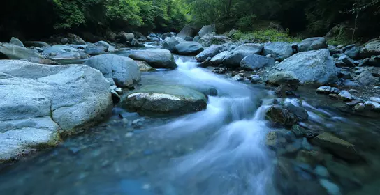 Freshwater stream