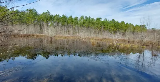 Environment and biodiversity at Imerys