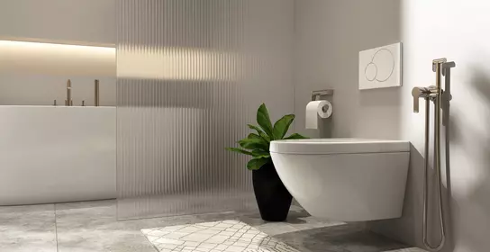 Sanitaryware-ceramics