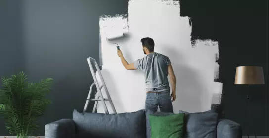 ECOPAQ™ - A unique range of customized solutions for optimum opacity in high quality paints at lowest TiO₂ level - Imerys