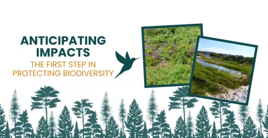 Biodiversity banner anticipating impacts - Imerys