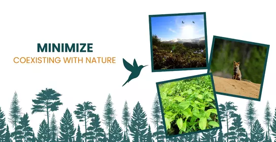 Minimize: Coexisting with nature by reducing our impact on biodiversity
