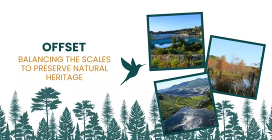 Offset: balancing the scales to preserve natural heritage | Imerys