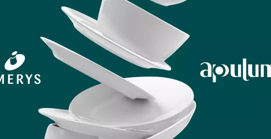 Porcelain tableware - Apulum X Imerys