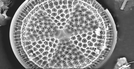 separation of solids from liquids (or gases) by passing the mixture through a porous material