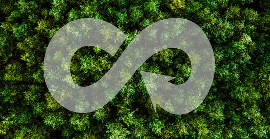 Innovation focus area: circular economy