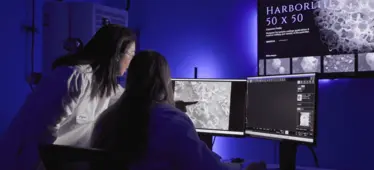 High resolution SEM of mineral sample